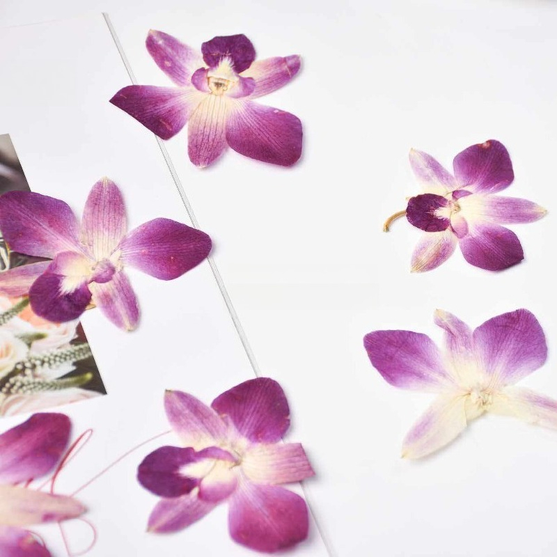 4pcs,Real Pressed Butterfly Or - Resin Art Frame recension och pris