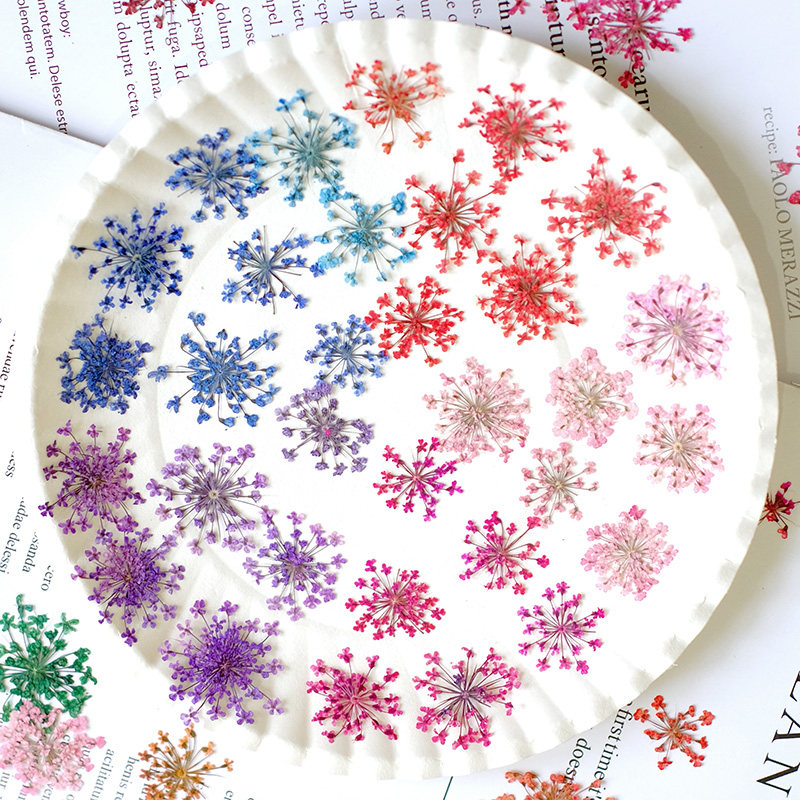 24pcs, 2-2.5cm, Nature Dyed Mi - Resin Art Frame recension och pris